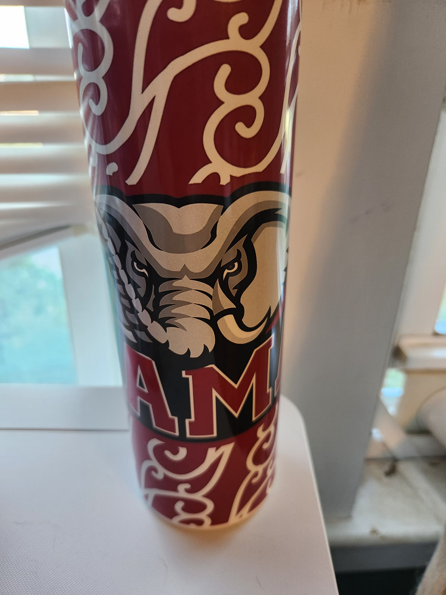 20 oz collegiate tumbler